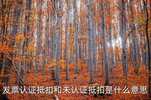 稅收抵免是什么，出口免稅是什么意思