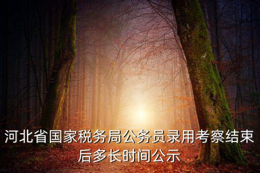 國稅一般什么時候公示，河北省國家稅務(wù)局公務(wù)員錄用考察結(jié)束后多長時間公示