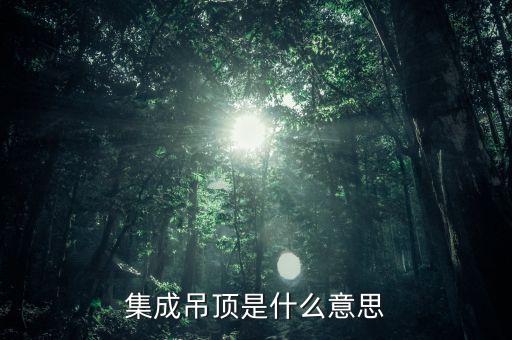 集成理念是什么意思，家居集成服務(wù)理念有何不同