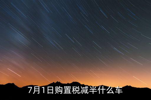 車稅減半針對什么車，101以后購車附加費減半 包含哪些車型