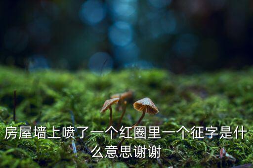 墻上印征收是什么意思，房屋墻上噴了一個(gè)紅圈里一個(gè)征字是什么意思謝謝