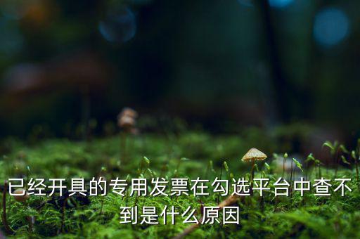 已經(jīng)開(kāi)具的專用發(fā)票在勾選平臺(tái)中查不到是什么原因