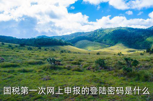 浙江國稅登入密碼是什么意思，稅務局網(wǎng)站的登入賬戶初始密碼是什么