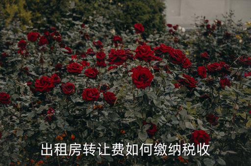 出租房轉讓費如何繳納稅收