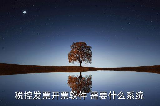 稅務開票系統(tǒng)都有什么，什么是開票系統(tǒng)小規(guī)模納稅人有裝開票系統(tǒng)嗎在線等謝謝