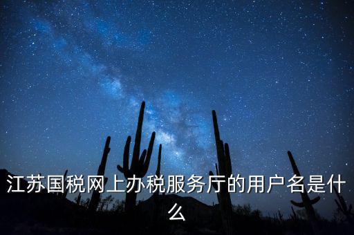江蘇國稅用戶名密碼是什么，江蘇國稅網(wǎng)上辦稅服務(wù)廳的用戶名是什么