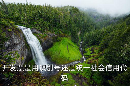 發(fā)票統(tǒng)一社會信用代碼是什么意思，開發(fā)票是用識別號還是統(tǒng)一社會信用代碼