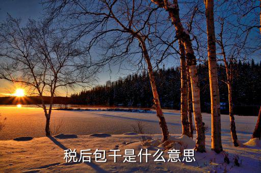 稅干是什么意思，干稅是什么意思