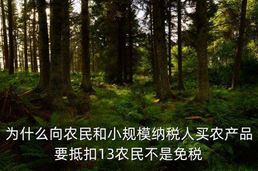 農(nóng)產(chǎn)品為什么要扣除，為什么向農(nóng)民和小規(guī)模納稅人買農(nóng)產(chǎn)品要抵扣13農(nóng)民不是免稅