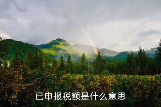 申報出現(xiàn)在什么，教師資格證認(rèn)定網(wǎng)上申報出現(xiàn)object是什么情況