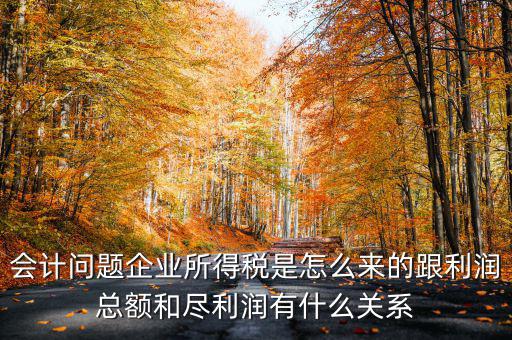 企業(yè)所得稅和什么有關(guān)，增值稅和企業(yè)所得稅有關(guān)系么