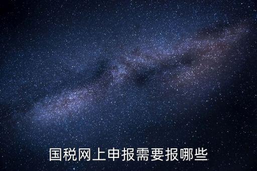 網(wǎng)上申報(bào)國稅需要什么，去國稅辦稅大廳申報(bào)網(wǎng)上申報(bào)資格需要什么