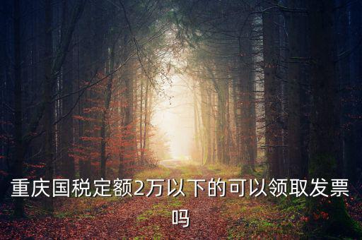 重慶用的什么定額發(fā)票，重慶國稅定額2萬以下的可以領(lǐng)取發(fā)票嗎