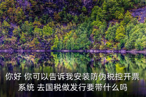 稅控發(fā)行是要做什么，稅控盤(pán)發(fā)行都呆哪些東西去稅務(wù)局需要法人去嗎