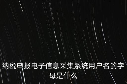 江蘇國稅電子稅務(wù)局登錄用戶名是什么意思，江蘇國稅網(wǎng)上辦稅服務(wù)廳的用戶名是什么
