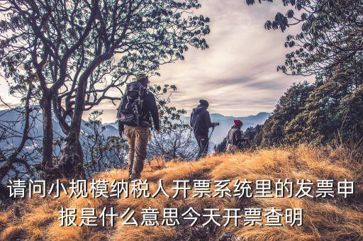 納稅人申報是什么意思，申報納稅是什么意思為什么取得營業(yè)執(zhí)造后30天就申報還沒有銷售