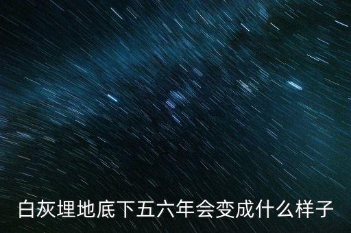 土地最底下是什么樣的，蛭石放在盆栽土壤的哪里土上還是土的最底下