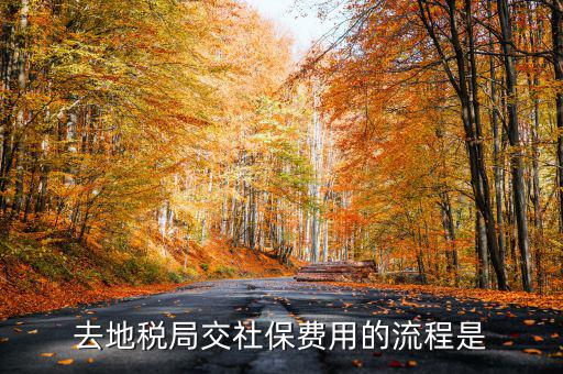 地稅局交社保需要什么手續(xù)費(fèi)，去地稅局交社保費(fèi)用的流程是