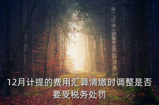 12月計提的費用匯算清繳時調(diào)整是否要受稅務處罰