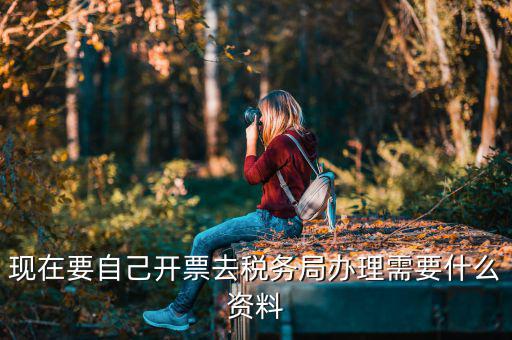 自己開專票要什么資料，開個(gè)人增值稅發(fā)票需要什么資料