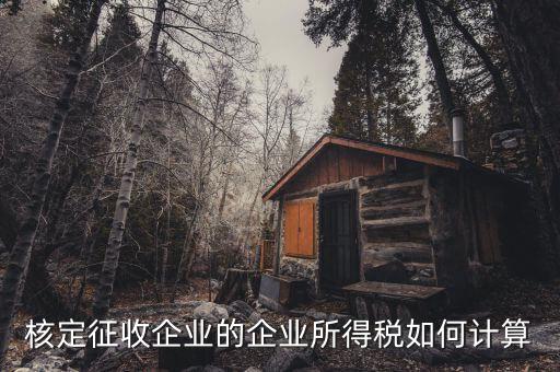 核定征收是什么，核定征收企業(yè)的會(huì)計(jì)主要的會(huì)計(jì)職責(zé)是什么