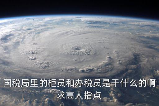 什么叫辦稅員，國(guó)稅局里的柜員和辦稅員是干什么的啊求高人指點(diǎn)