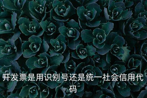 開發(fā)票是用識(shí)別號(hào)還是統(tǒng)一社會(huì)信用代碼