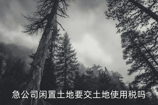開(kāi)發(fā)的土地閑置需繳什么稅，急公司閑置土地要交土地使用稅嗎