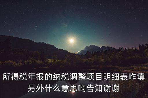 納稅調(diào)整項(xiàng)目明細(xì)表是什么意思，稅后調(diào)整是什么意思
