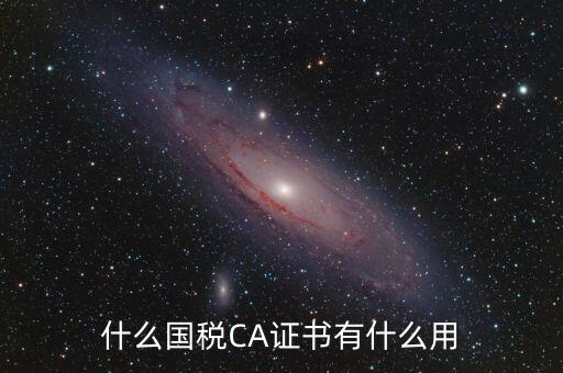 國稅ca登錄是什么，什么國稅CA證書有什么用