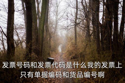 發(fā)票結存號碼是什么，發(fā)票號碼是指哪個號碼