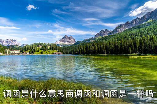 稅局調函是什么意思，暫不辦理個人檔案或同意調出函是什么意思