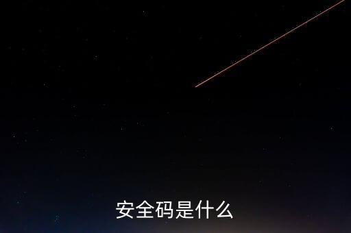 發(fā)票查詢安全碼是什么樣的，請問安全碼是啥