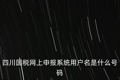 四川省地方稅務(wù)局登錄賬號(hào)是什么，在網(wǎng)上報(bào)稅登陸時(shí)用戶名是什么