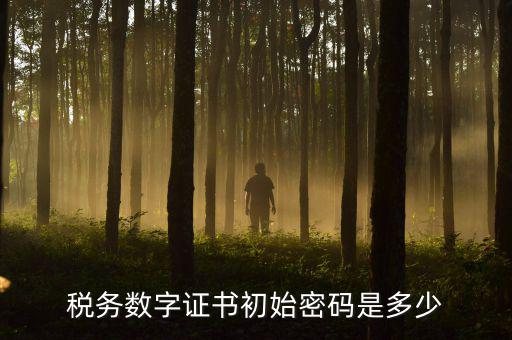 地稅數(shù)字證書的密碼是什么，稅控證書密碼是多少只有可能是8位嗎