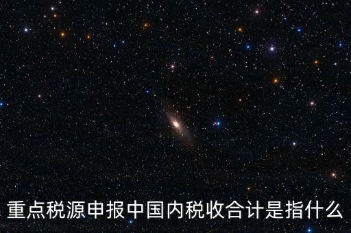 重點(diǎn)稅源申報(bào)中國內(nèi)稅收合計(jì)是指什么