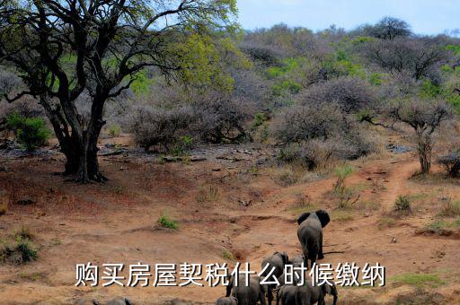 鶴壁契稅什么時(shí)候交，什么時(shí)間繳納契稅