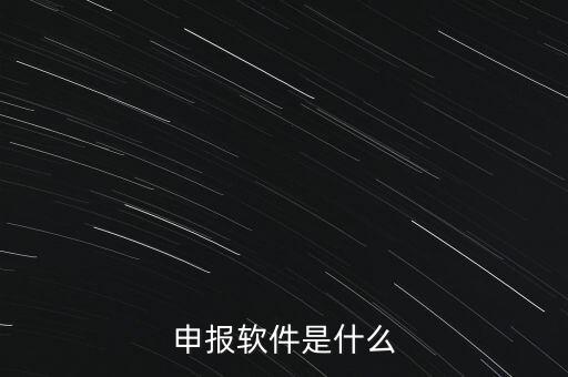 增值稅申報(bào)用什么軟件，申報(bào)軟件是什么