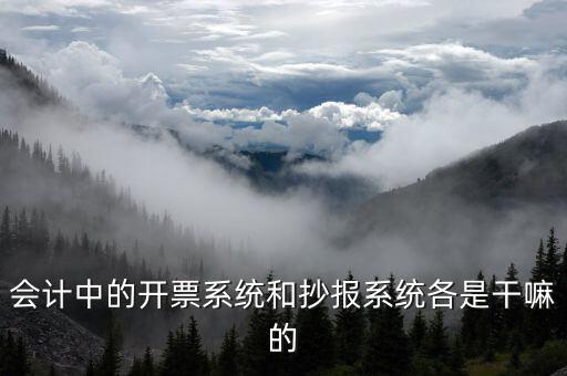 報稅開票系統(tǒng)是什么意思，每個月一號重登金稅盤開票系統(tǒng)是什么意思