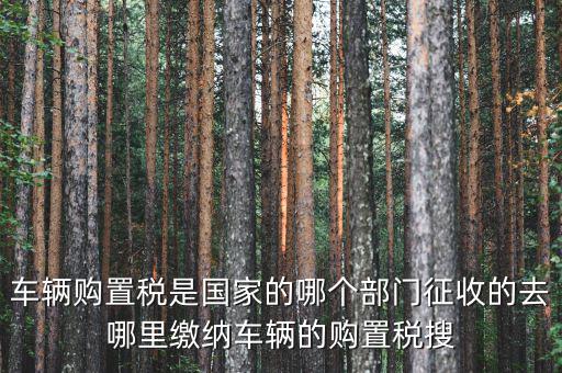 車購(gòu)稅局屬于什么，車輛購(gòu)置稅是國(guó)家的哪個(gè)部門征收的去哪里繳納車輛的購(gòu)置稅搜