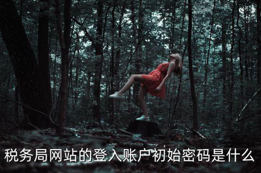 稅務局網(wǎng)站的登入賬戶初始密碼是什么
