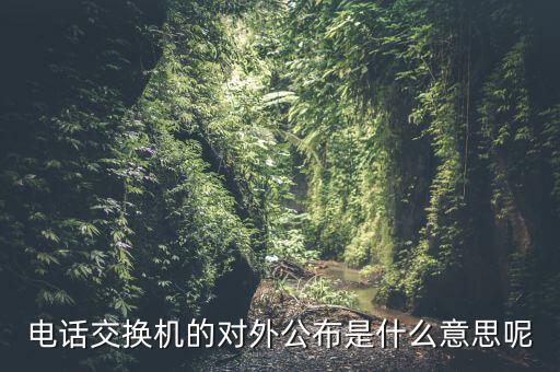 對外公開電話有什么，福建省廈門市湖里區(qū)人民法院對外公開號碼都有哪些