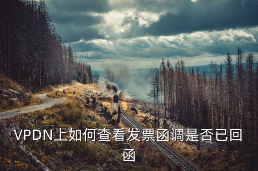 發(fā)票為什么會被復(fù)函，VPDN上如何查看發(fā)票函調(diào)是否已回函