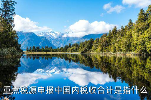 重點(diǎn)稅源填了有什么用，我的電腦重裝后重點(diǎn)稅源以前數(shù)據(jù)怎么查詢