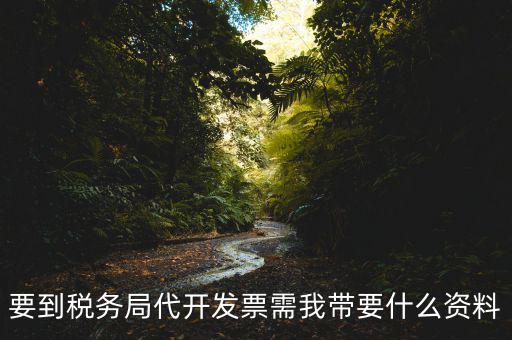 去稅務(wù)局開(kāi)票需要帶什么資料，去稅務(wù)局開(kāi)票的話需要帶什么材料呢