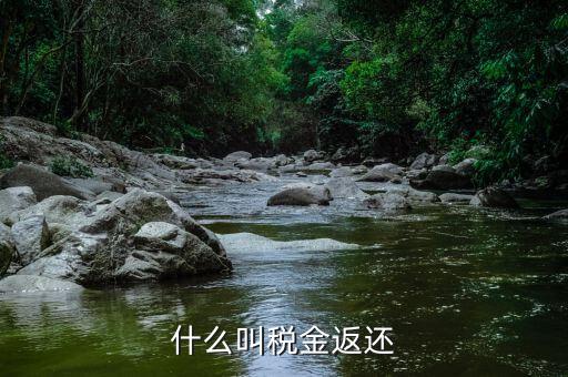 稅收退還的協(xié)議叫什么，什么是稅費返還