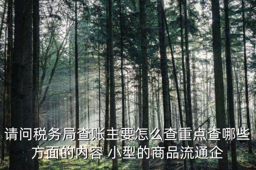 重點(diǎn)稅源稅務(wù)局看什么，稅務(wù)局主要看報(bào)表的什么