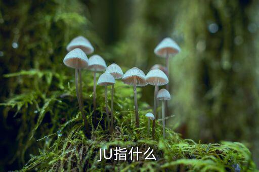 云南話ju什么意思，ju是什么意思
