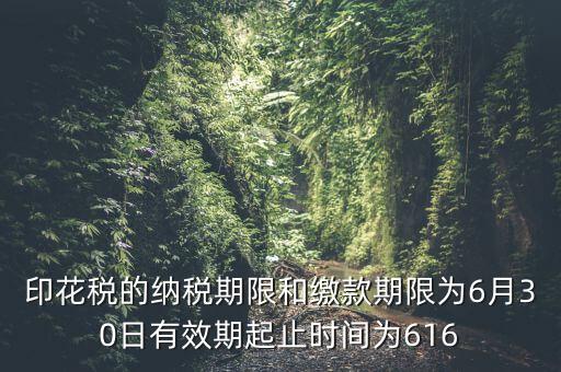 繳款期限什么意思，滯納金是什么意思