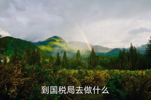 國稅局什么工作，國稅是做什么工作的